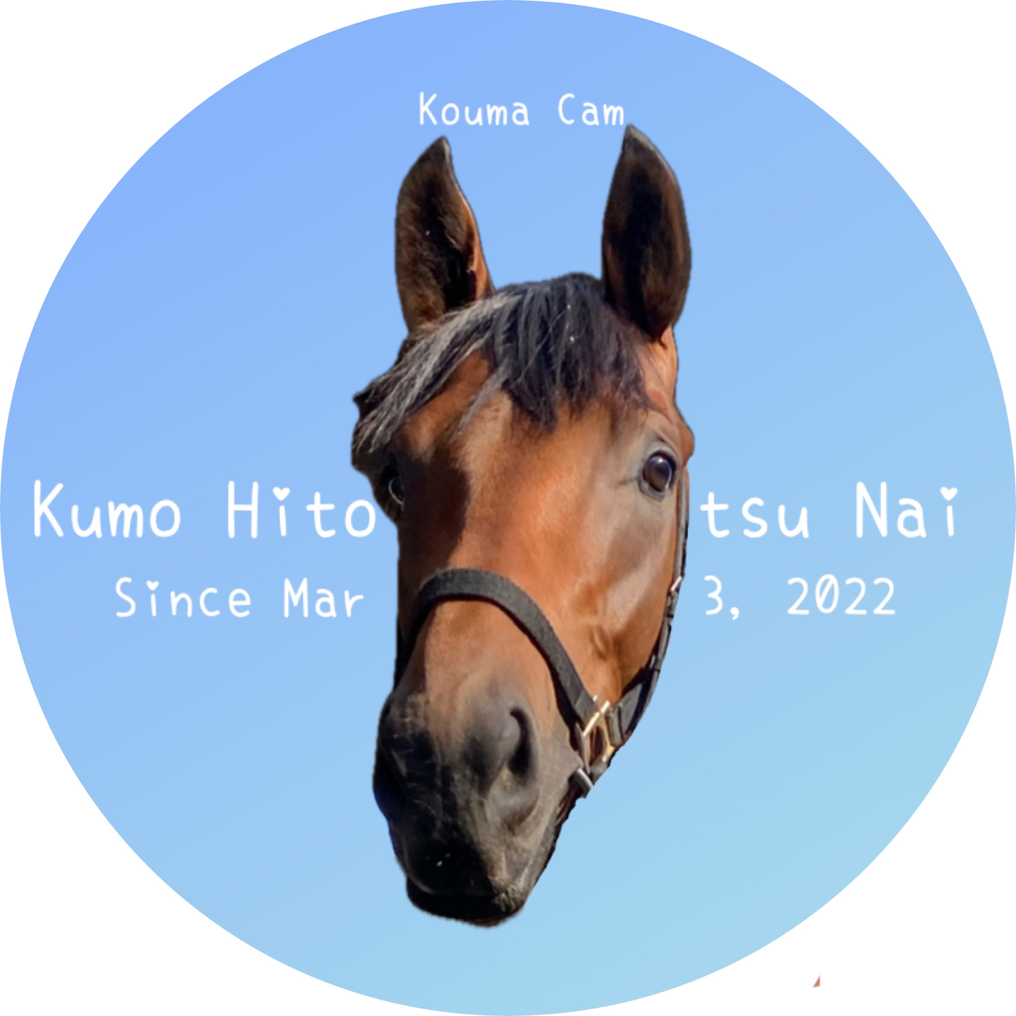 仔馬シール (11枚セット)