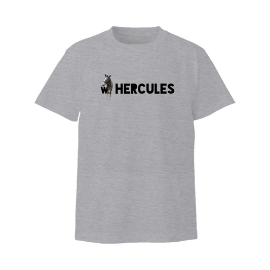 ウインヘラクレスの毛色Tシャツ